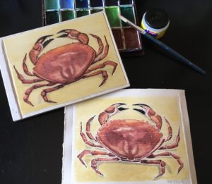 Read more about the article Feeling crabby.