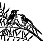 Read more about the article New Holland Honeyeater