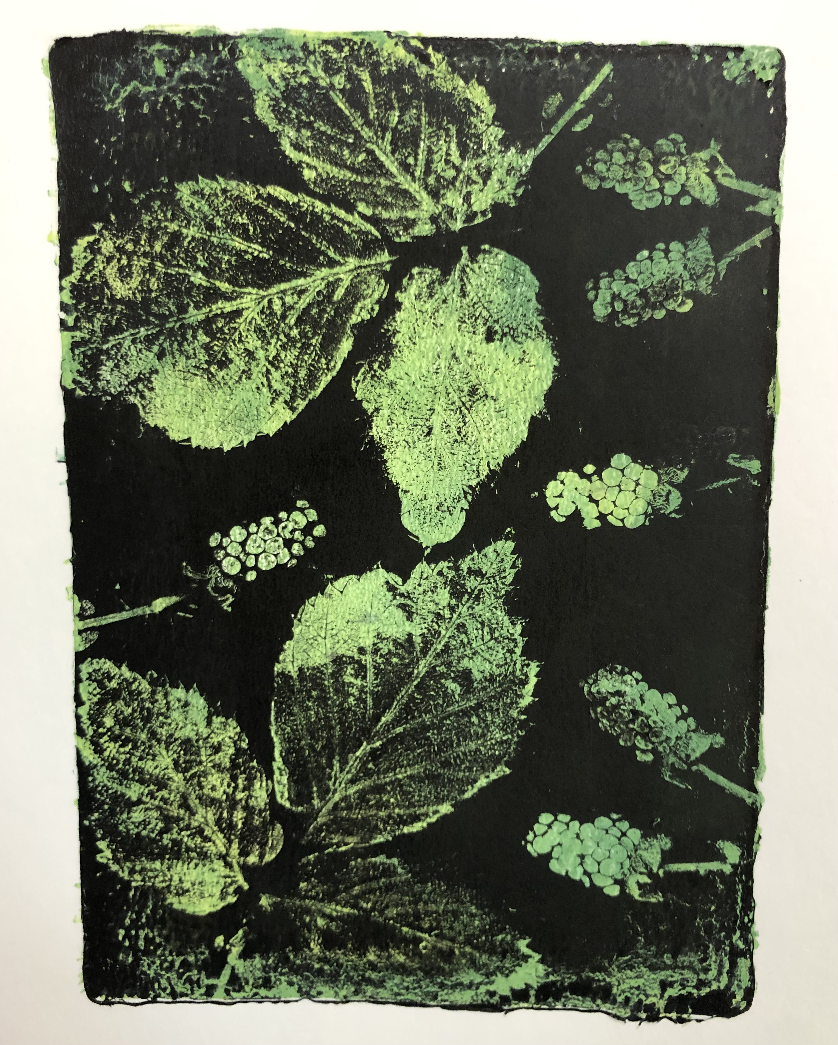 You are currently viewing Print Day in May – Blackberries