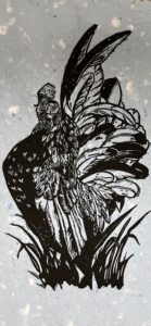 Read more about the article The Mighty Rooster