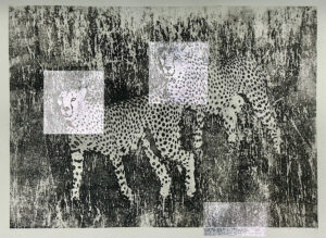 Read more about the article Cheetah Brothers
