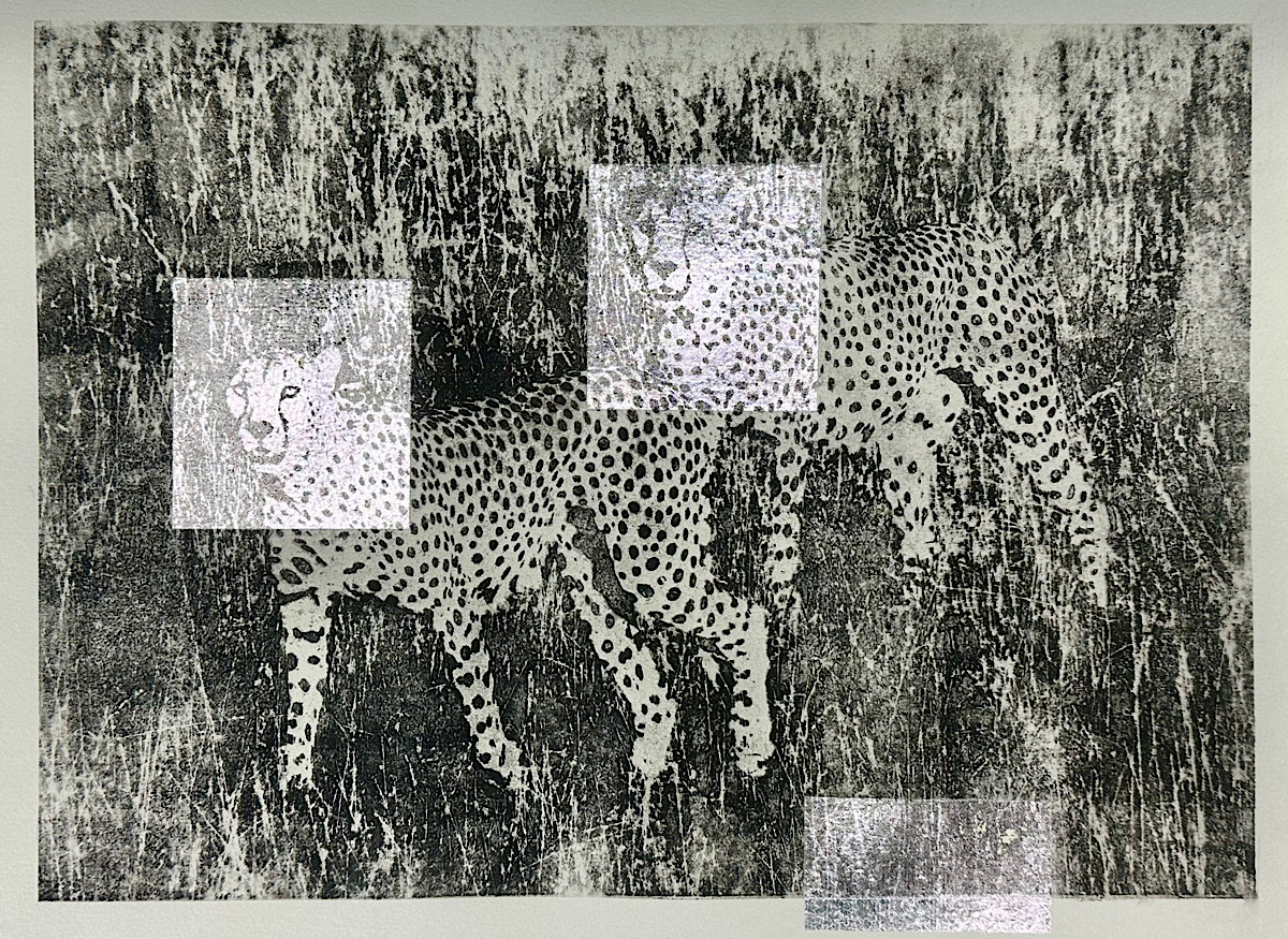 You are currently viewing Cheetah Brothers