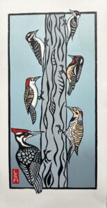 Read more about the article Woodpeckers