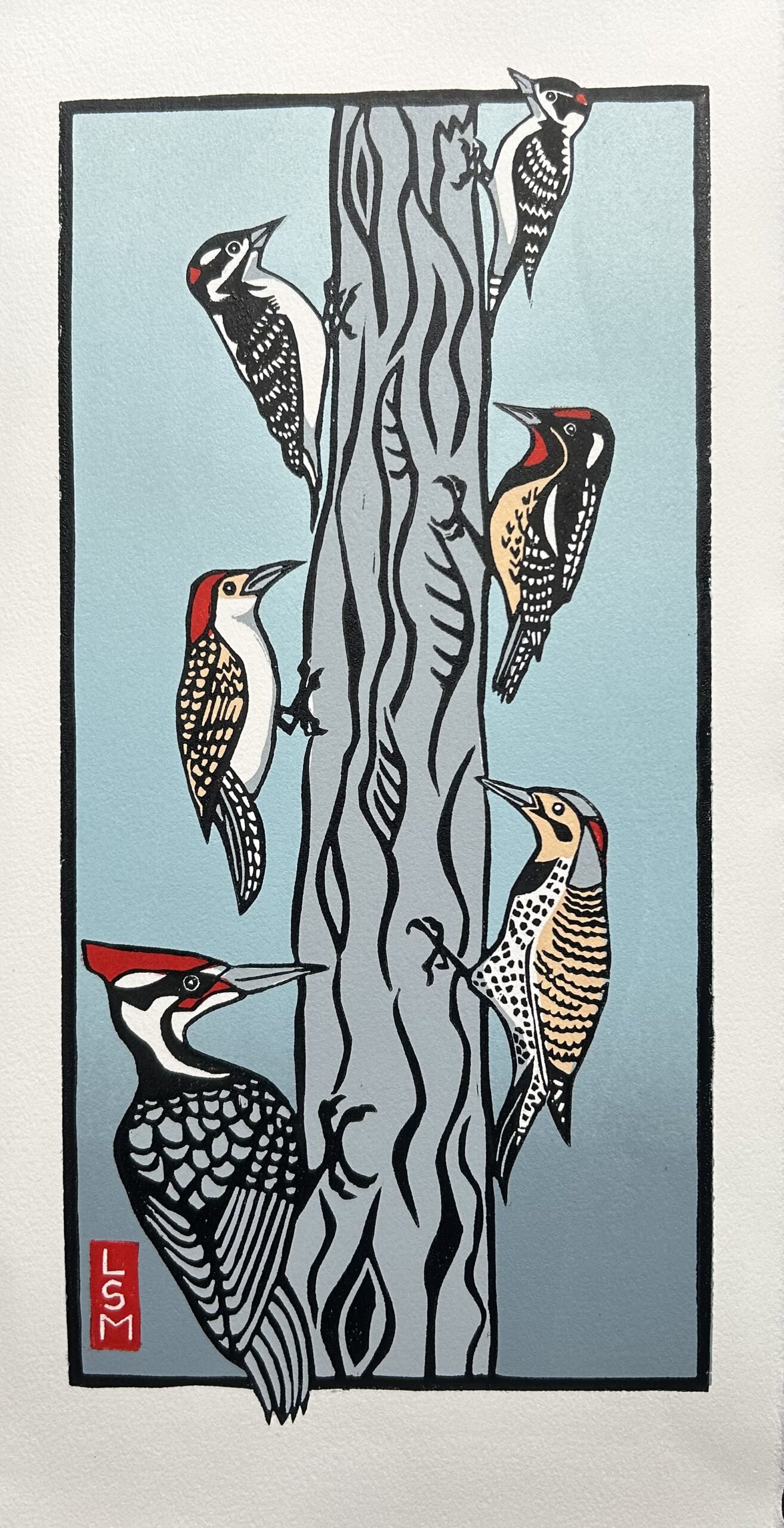 You are currently viewing Woodpeckers