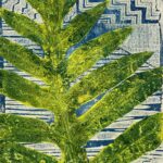 Read more about the article Print Day in May in Kona Hawaii