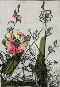 Read more about the article Camellias