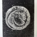 stellualr-universe.jpg