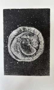 Read more about the article Seed of the Universe