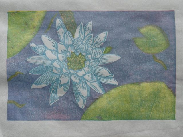 Jacquie Sullivan - Jacksons and Center for Contemporary Printmaking winner