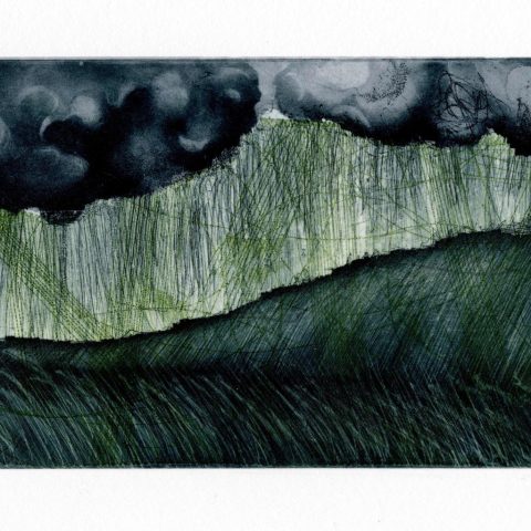 Liz Chalfin - Washi Arts winner